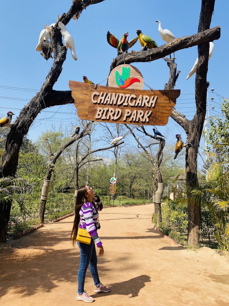 Chandigarh Bird Park