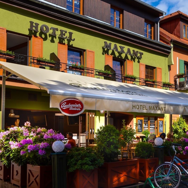 Hotel Maxant Frymburk