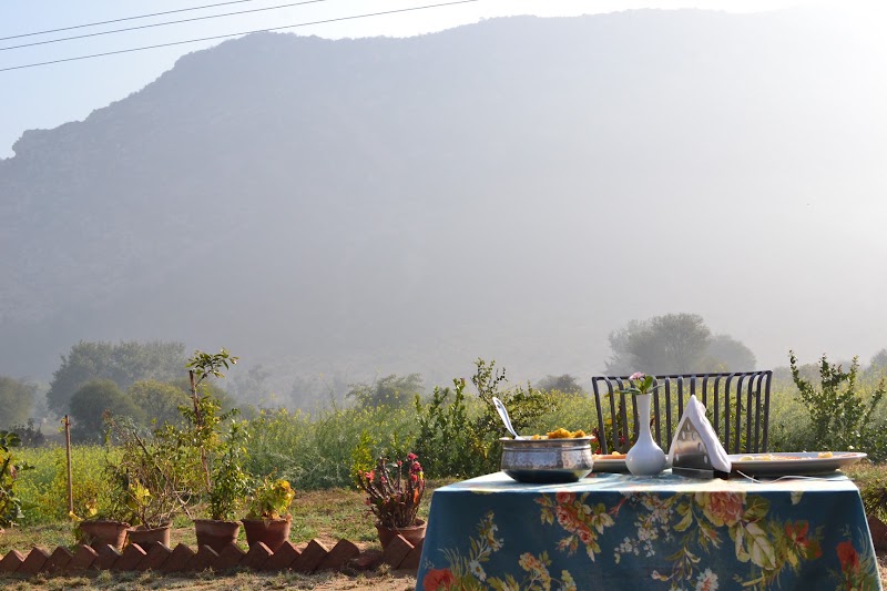 Sariska Nature Estate - Sariska Nature Estate, Kalakhora village, Thanagazi, Bhoodiyawas, Rajasthan 301022, India