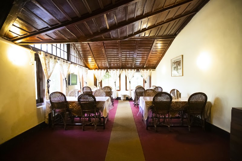 The Hive Cottage - The Hive Cottage, Ayarpatta, Nainital, Uttarakhand 263001, India
