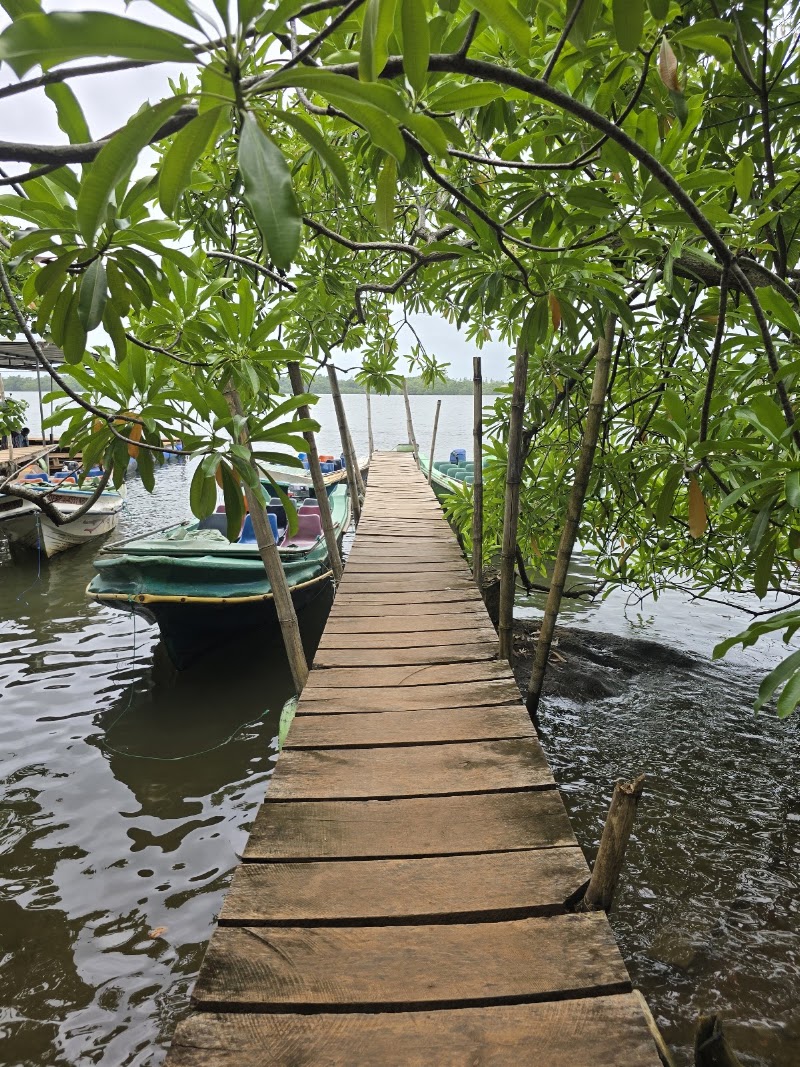 Madu Queen Boat Safari | Madu River - Madu Queen Boat Safari | Madu River, Nandana Gardens, Balapitiya 80550, Sri Lanka