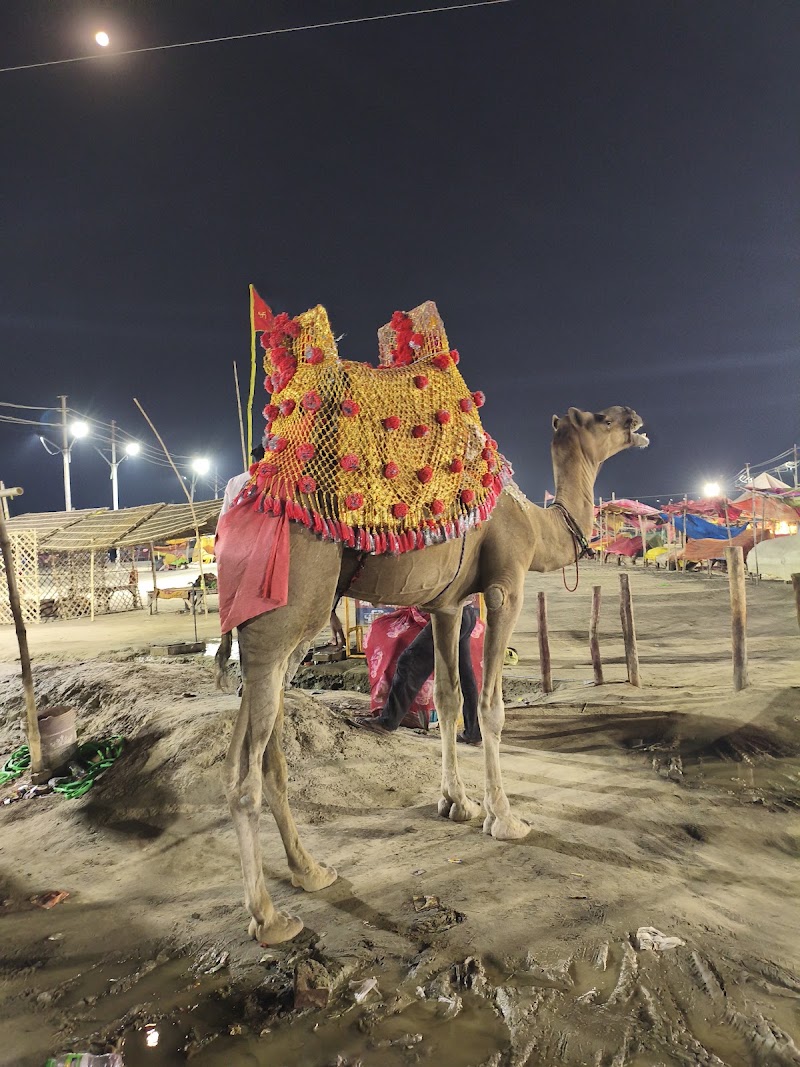 Triveni Sangam - Triveni Sangam, CVHP+38R, Prayagraj, Uttar Pradesh 211002, India