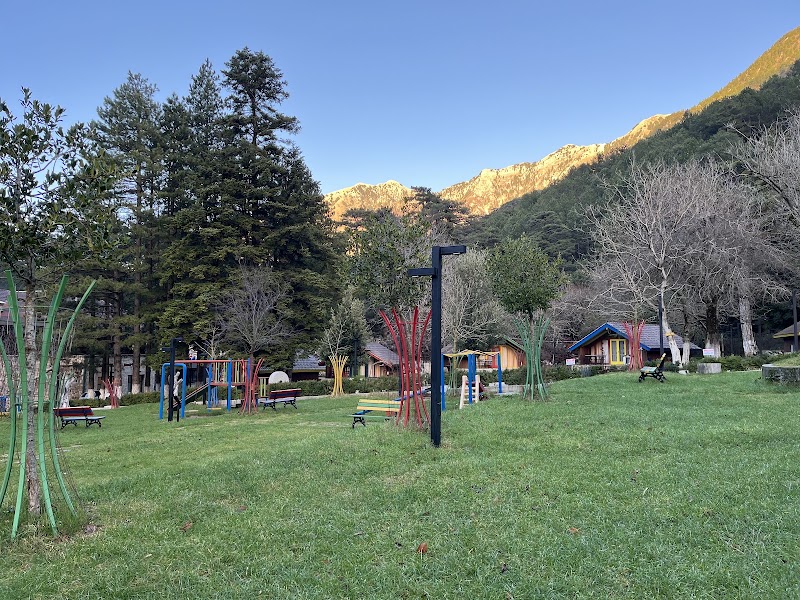 Llogara National Park - Llogara National Park, 6H7G+535, SH8, Albania