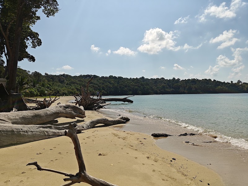 Munda Pahad Beach - Munda Pahad Beach FPR5+HGJ, Andaman and Nicobar Islands 744105, India