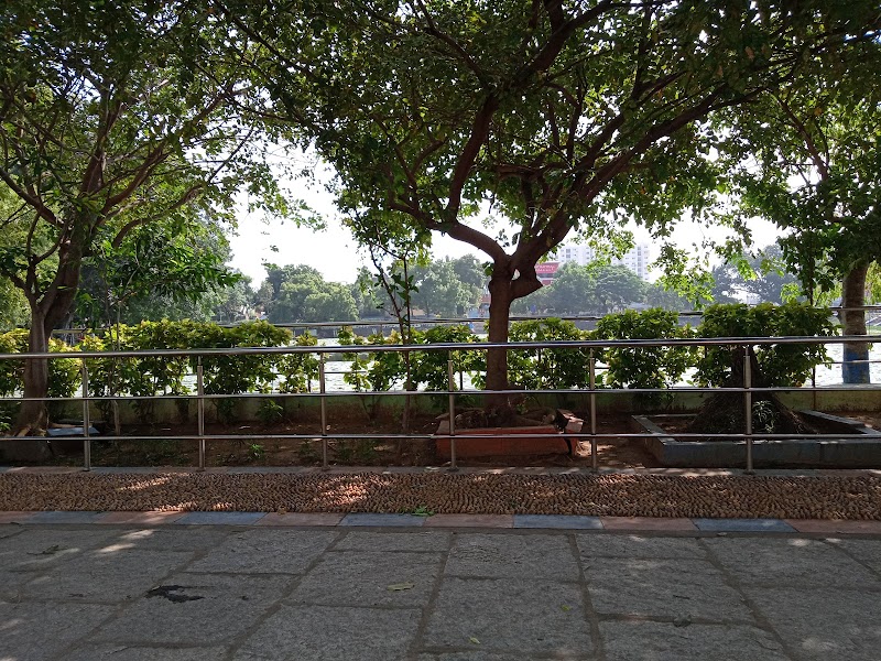 Lotus Pond - Lotus Pond Lotus Pond, Selvam Nagar, Pallikaranai, Chennai, Tamil Nadu 600100