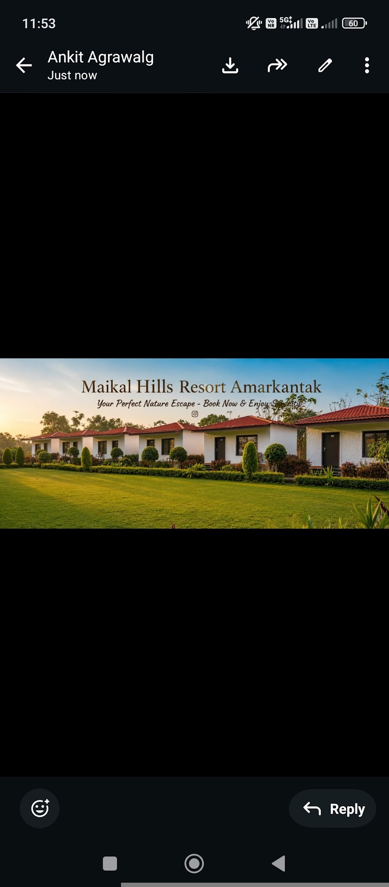 Maikal Hills Resort in Amarkantak (M.P.) - Maikal Hills Resort in Amarkantak (M.P.), WARD NO 02, SHAMBHU DHARA ROAD, BARATI, Amarkantak, Madhya Pradesh 484886, India