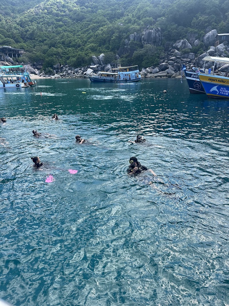 Pura Vida Diving - Pura Vida Diving, 9/24, ตำบล เกาะเต่า Koh Tao, สุราษฎร์ธานี 84360, Thailand