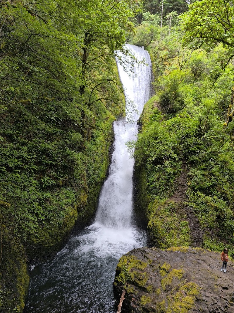 Columbia River Gorge National Scenic Area - Columbia River Gorge National Scenic Area, Oregon, USA