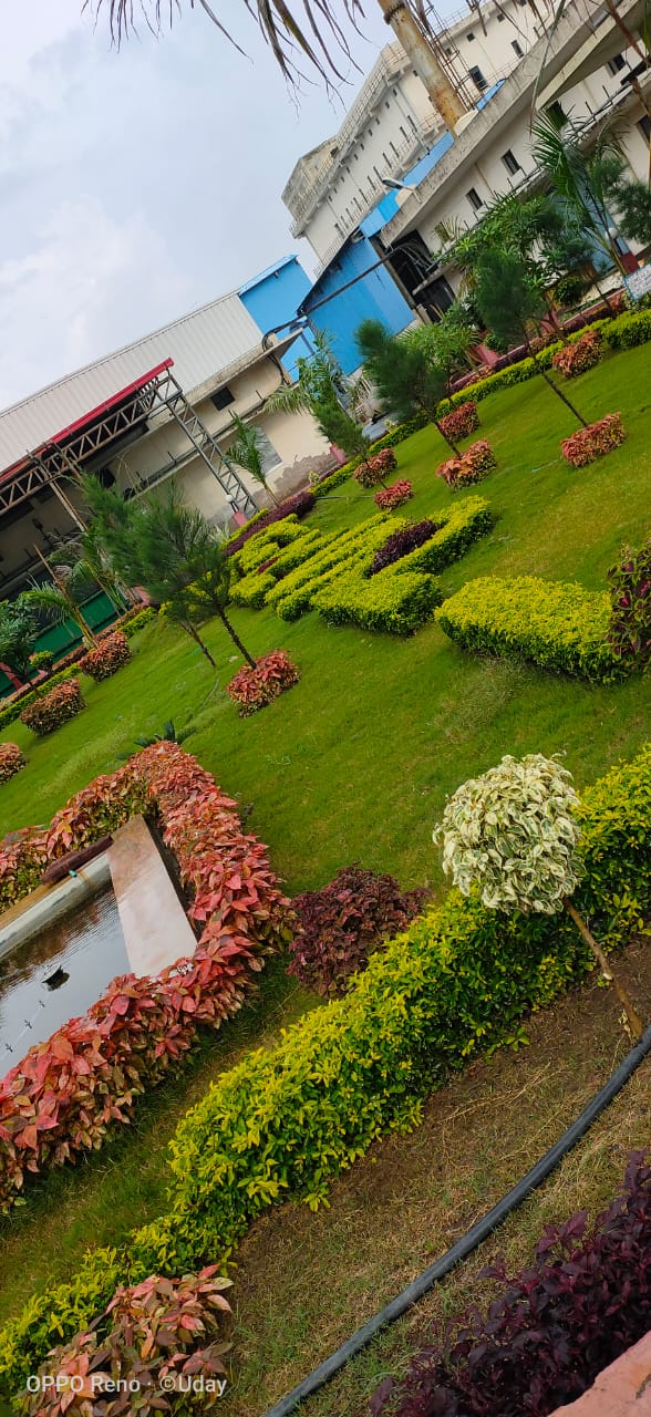 Dausa - Dausa, Rajasthan 303303, India