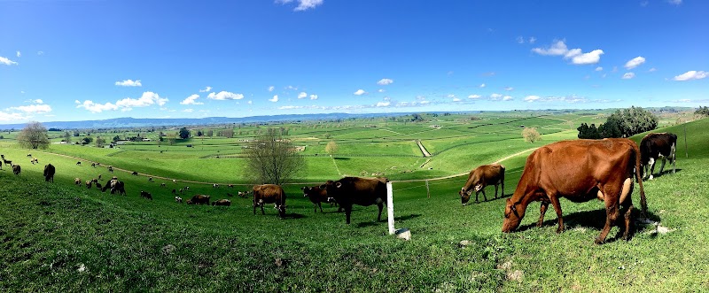 Country Retreat BnB - Country Retreat BnB, 277A Buckland Road, R.D.2, Matamata 3472, New Zealand