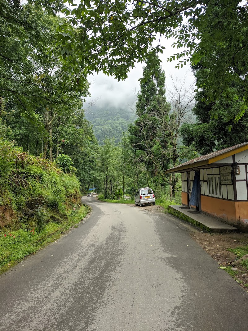 Darap Village Walk - Darap Village Walk Pelling-Rimbi Rd, Darap, Sikkim 737113, India