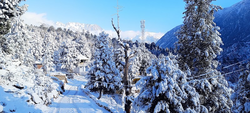 KinVatika Homestay - KinVatika Homestay Village shudharang Post Office, Tehsil, Reckong Peo, Kalpa, Himachal Pradesh 172107, India