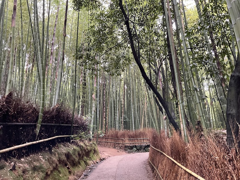 Arashiyama Bamboo Forest - Arashiyama Bamboo Forest Sagaogurayama Tabuchiyamacho, Ukyo Ward, Kyoto, 616-8394, Japan