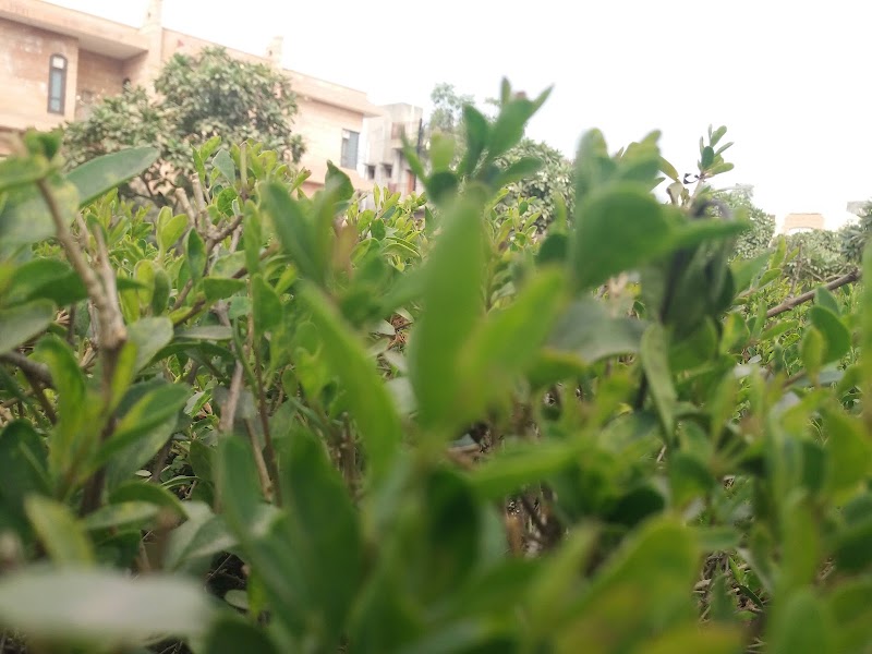 Ashapurna Enclave Park - Ashapurna Enclave Park 6X9Q+R6G, M.I.A. 1st Phase, Basni, Basni, Jodhpur, Rajasthan 342014, India