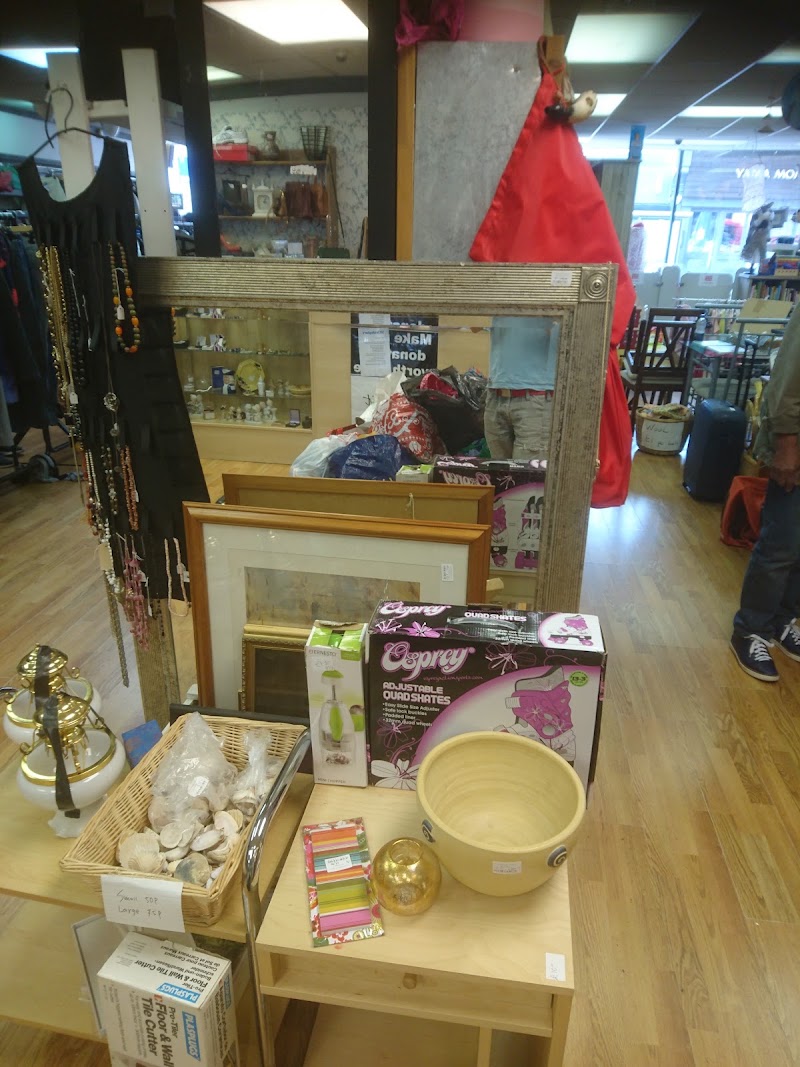 St Christopher's Hospice Shop - East Dulwich - St Christopher's Hospice Shop - East Dulwich, 85-87 Lordship Ln, London SE22 8EP, UK
