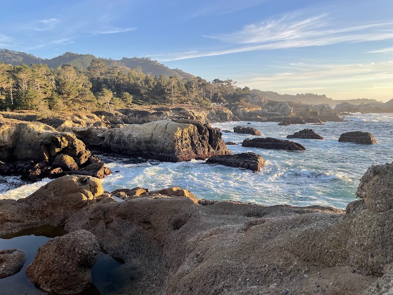 Point Lobos State Natural Reserve - Point Lobos State Natural Reserve Carmel-By-The-Sea, CA 93923, USA