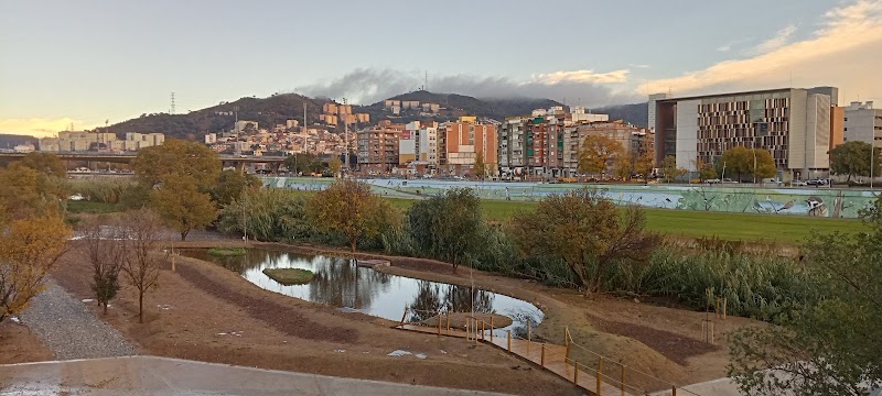 Santa Coloma de Gramenet - Santa Coloma de Gramenet, Barcelona, Spain
