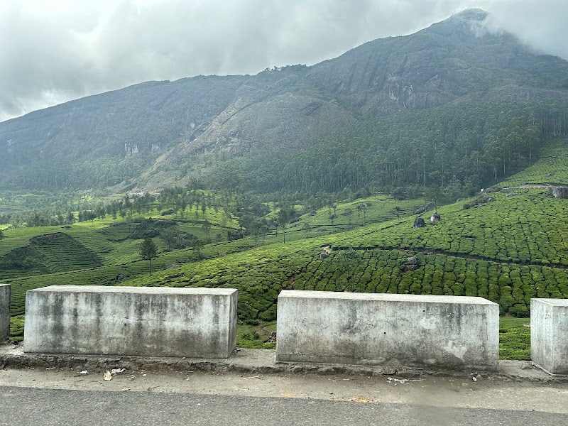Tea plantation View point - Tea plantation View point 33F4+GQ, Kannan Devan Hills, Kerala 685612, India