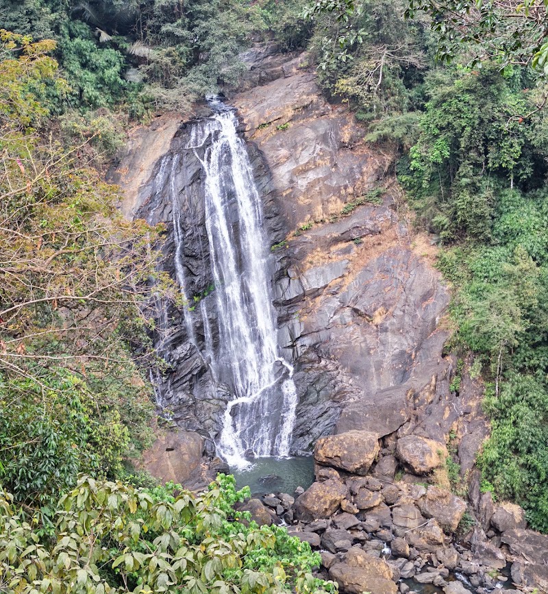 Waterfalls - Waterfalls 33Q5+HRC, Nullatanni, Munnar, Keralam 685612, India