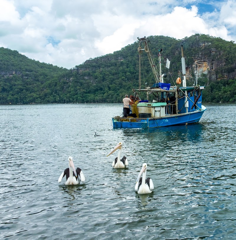 Hawkesbury River - Hawkesbury River, New South Wales, Australia