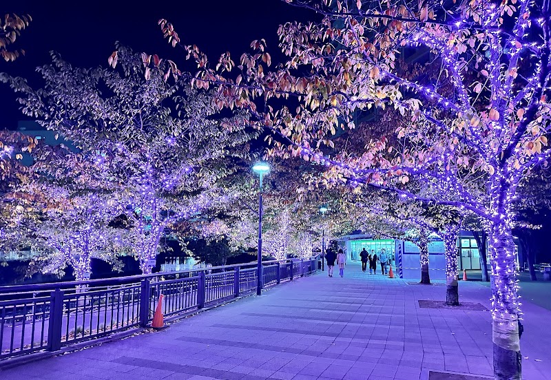 Gotanda Waterfront Plaza - Gotanda Waterfront Plaza, 2-chōme-9-11 Higashigotanda, Shinagawa City, Tokyo 141-0022, Japan