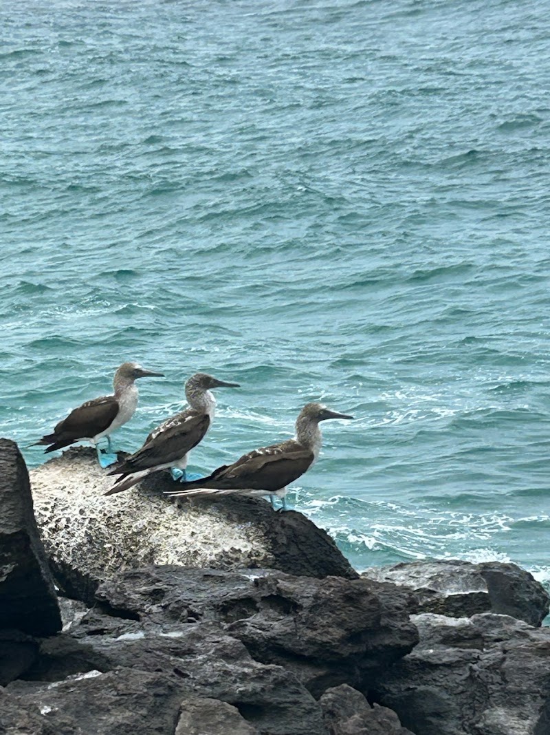 Puerto Chino - Puerto Chino, Isla de San Cristóbal, 3HFC+J46, San Cristóbal, Ecuador