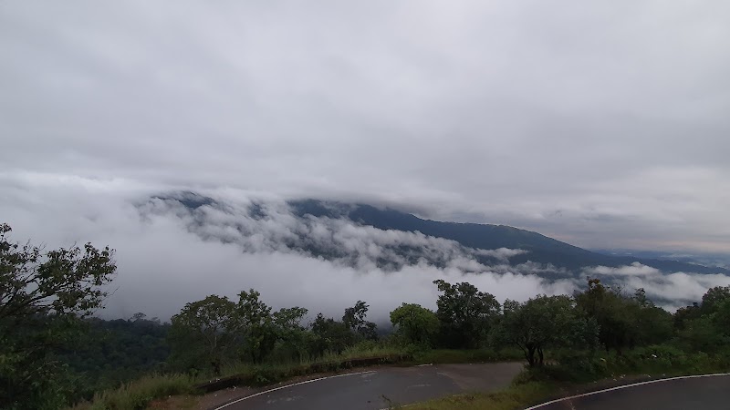 Main View Point - Main View Point PM5F+RJR, SH 85, Bisle State Forest, Karnataka 573123, India