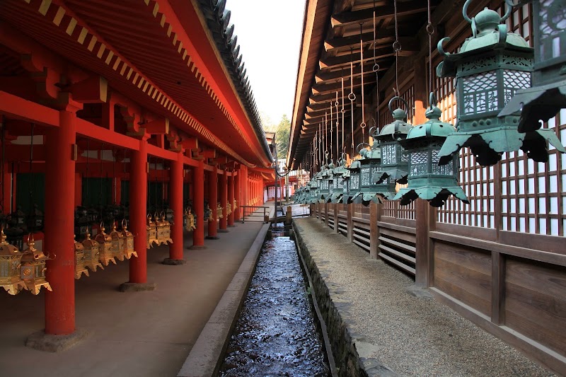 Kasugataisha Shrine - Kasugataisha Shrine 160 Kasuganochō, Nara, 630-8212, Japan