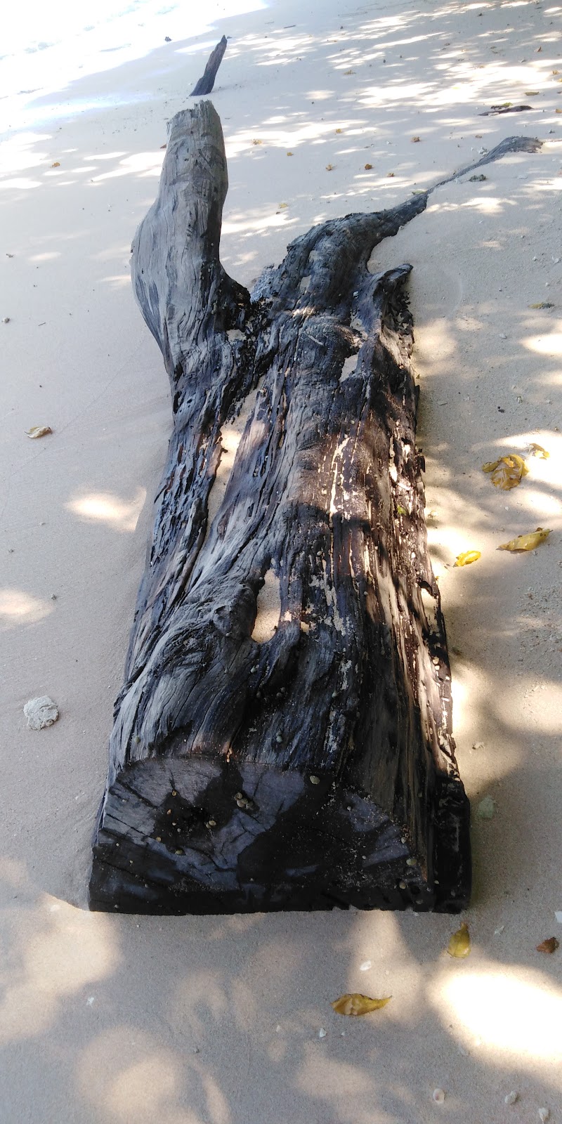 Bharatpur - Bharatpur, Andaman and Nicobar Islands 744104, India