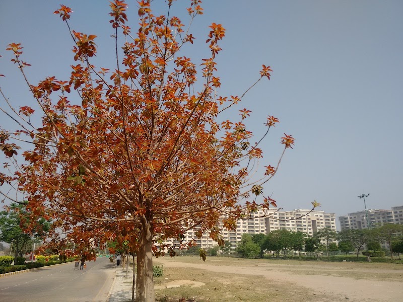 Ambience Island - Ambience Island, DLF Phase 3, Sector 24, Gurugram, Haryana, India
