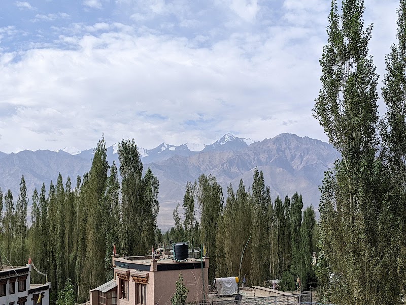 Mandarava Homestay - Mandarava Homestay, Shangara House, Tukcha Main Rd, Leh, 194101