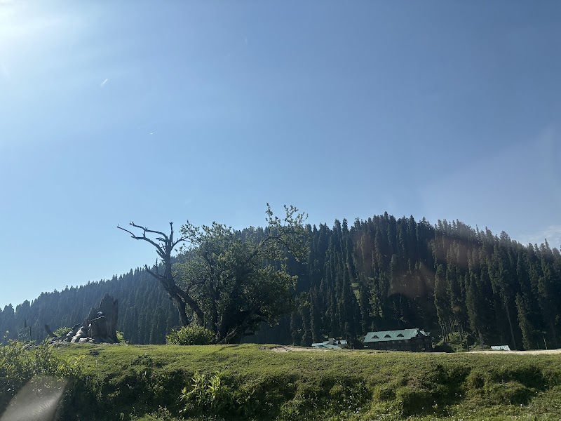J&K Tourism Gulmarg - J&K Tourism Gulmarg 29XJ+86V, Gulmarg, 193403