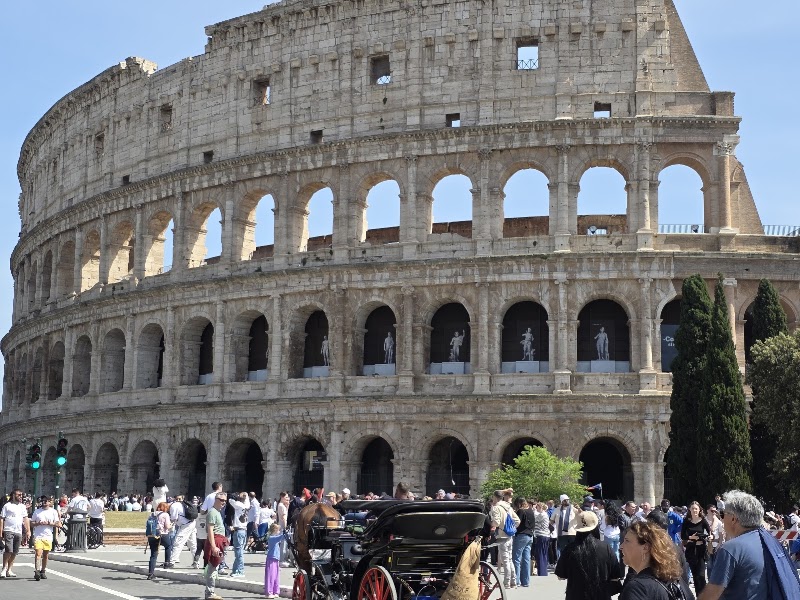 City Sightseeing Roma - City Sightseeing Roma, Via Paola, 35, 00186 Roma RM, Italy