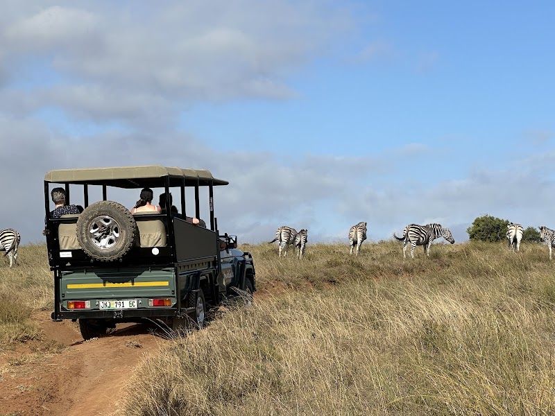 Amakhala Game Reserve - Amakhala Game Reserve, Paterson, 6130, South Africa