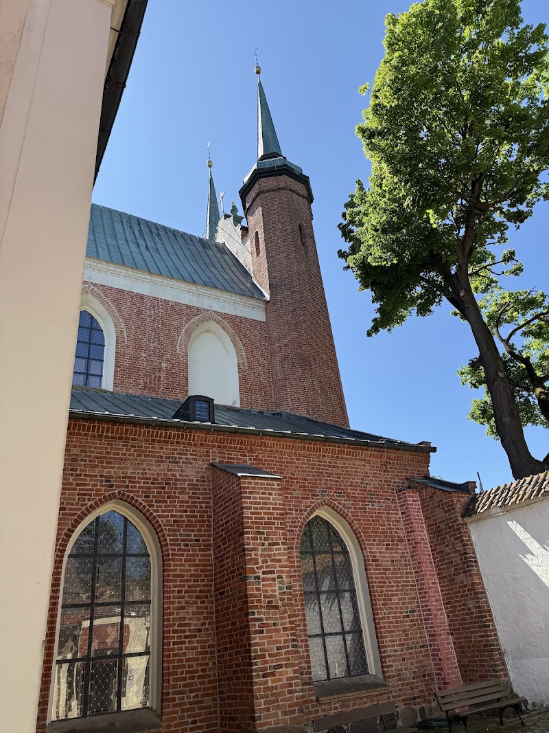 Archikatedra Oliwska - Archikatedra Oliwska, Biskupa Edmunda Nowickiego 5, 80-300 Gdańsk, Poland
