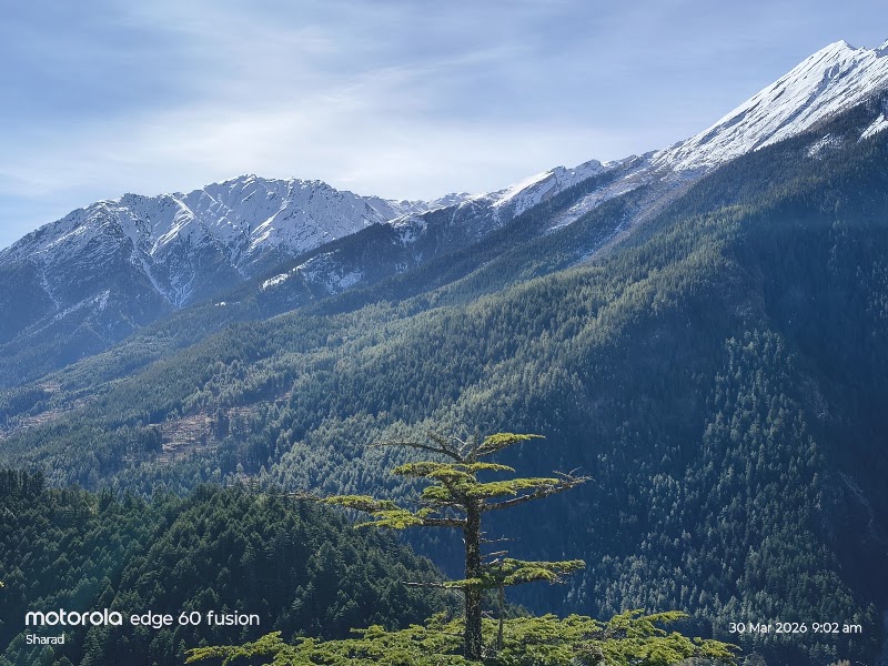 Moila Top - Moila Top, Chakrata, Bagani, Uttarakhand 248123, India