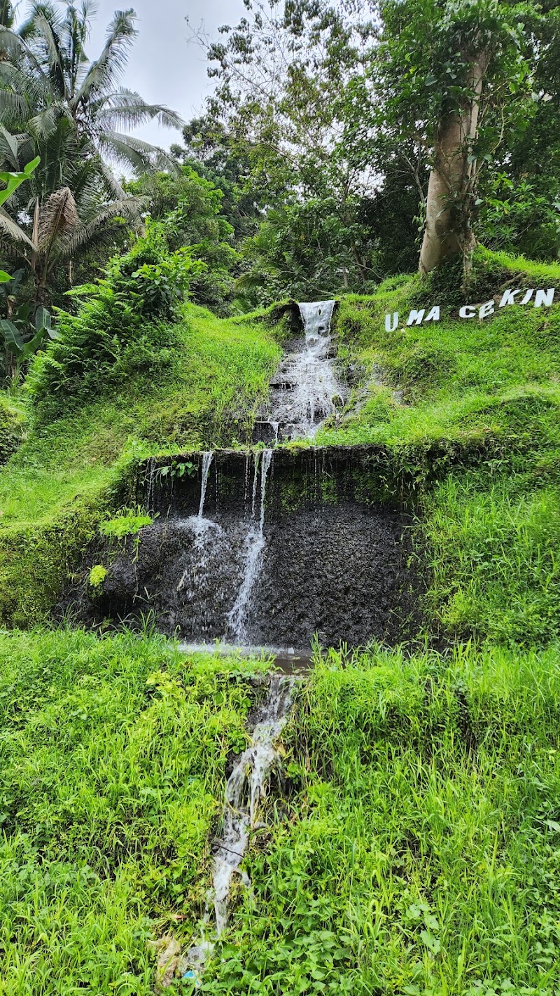 Tegallalang Rice Terrace - Tegallalang Rice Terrace Jl. Raya Tegallalang, Tegallalang, Kec. Tegallalang, Kabupaten Gianyar, Bali 80561, Indonesia