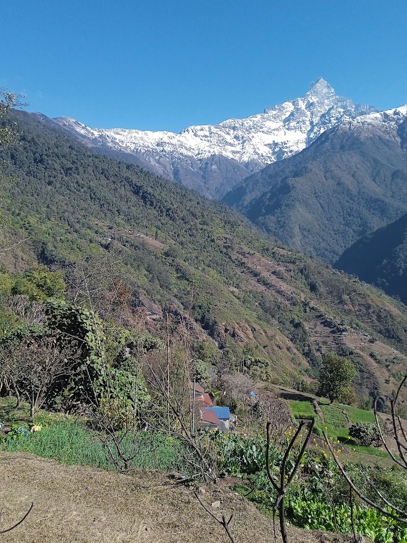 Siding village - Siding village 7268+VMQ, Siding 33700, Nepal