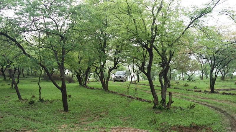 Aravali Retreat - Aravali Retreat, A 43 Aravali Retreat Near Pathways World School Raisina, Village, Gurugram, Haryana 122102, India