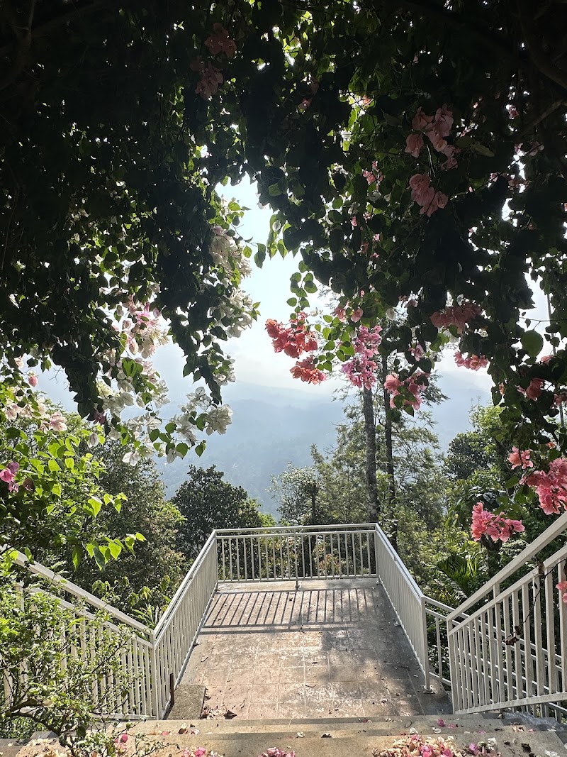 Nature Shade - Nature Shade Vattapathal, Kunnumpuram Road 300, Maryland Rd, Kunchithanny, Anachal, Kerala 685565, India