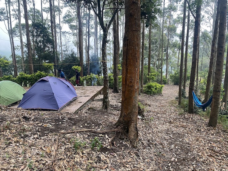 Suryanelly Camp - Suryanelly Camp, Suryanelli, Kerala 685618, India
