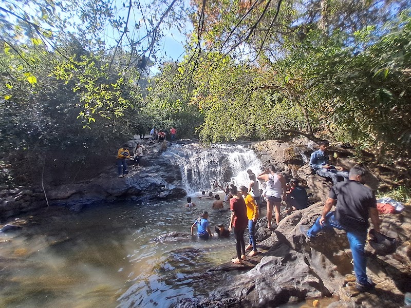 Sakleshpur Trekking and Travel Service - Sakleshpur Trekking and Travel Service Kushalnagar, Sakleshpura, Karnataka 573134, India