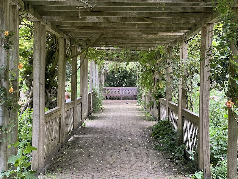 Old English Garden - Old English Garden, London SW11 4NJ, UK