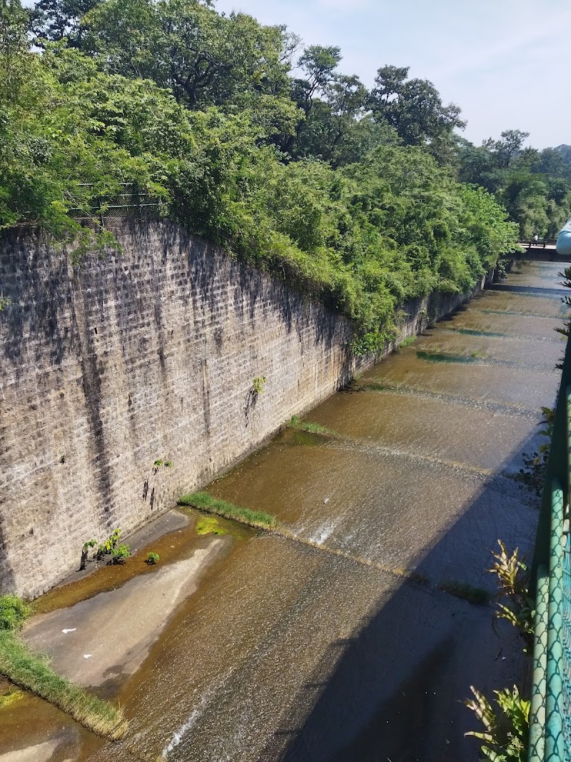 Chiklihole Dam - Chiklihole Dam, Attur Forest, Karnataka 571234, India