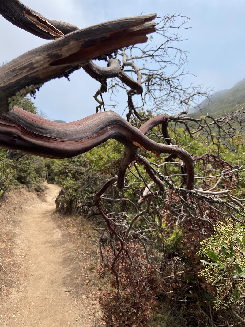 Montara Mountain Trailhead - Montara Mountain Trailhead 600 Oddstad Blvd, Pacifica, CA 94044, USA