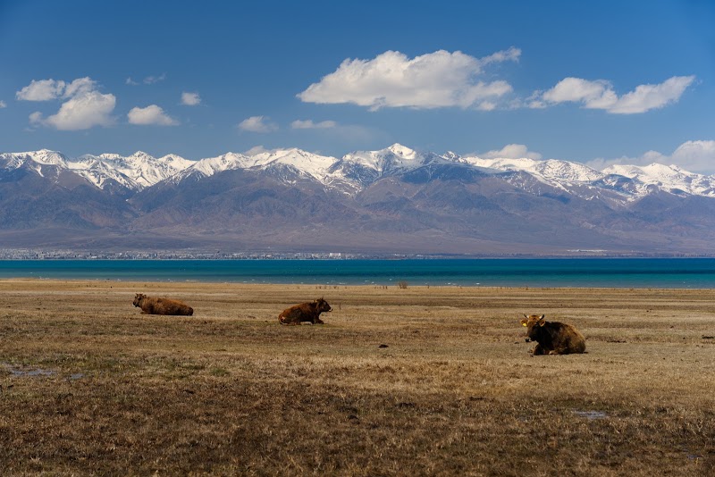 Issyk Kul - Issyk Kul Issyk Kul, Kyrgyzstan