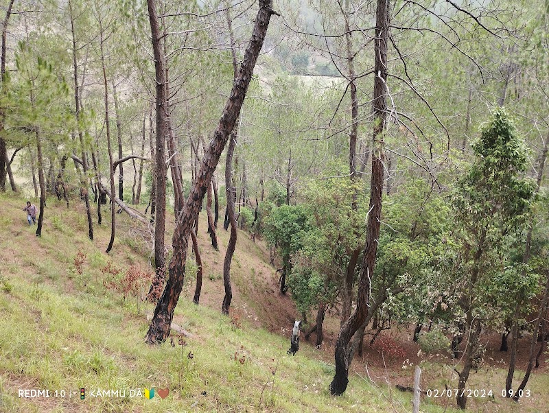 Shree Rama Temple, Ramkot - Shree Rama Temple, Ramkot PFR8+MR8, Bhandargaon Melta, Bagwalipokhar, Aeri Sera, Uttarakhand 263621, India