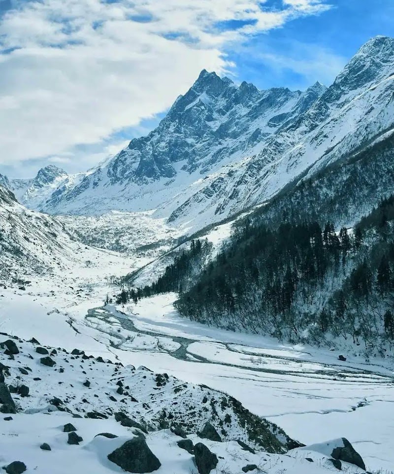 Apple Orchard Homestay - Apple Orchard Homestay, Sankri Sankri, Mori-Sankari Rd, Mori, Motwat, Uttarakhand 249128, India