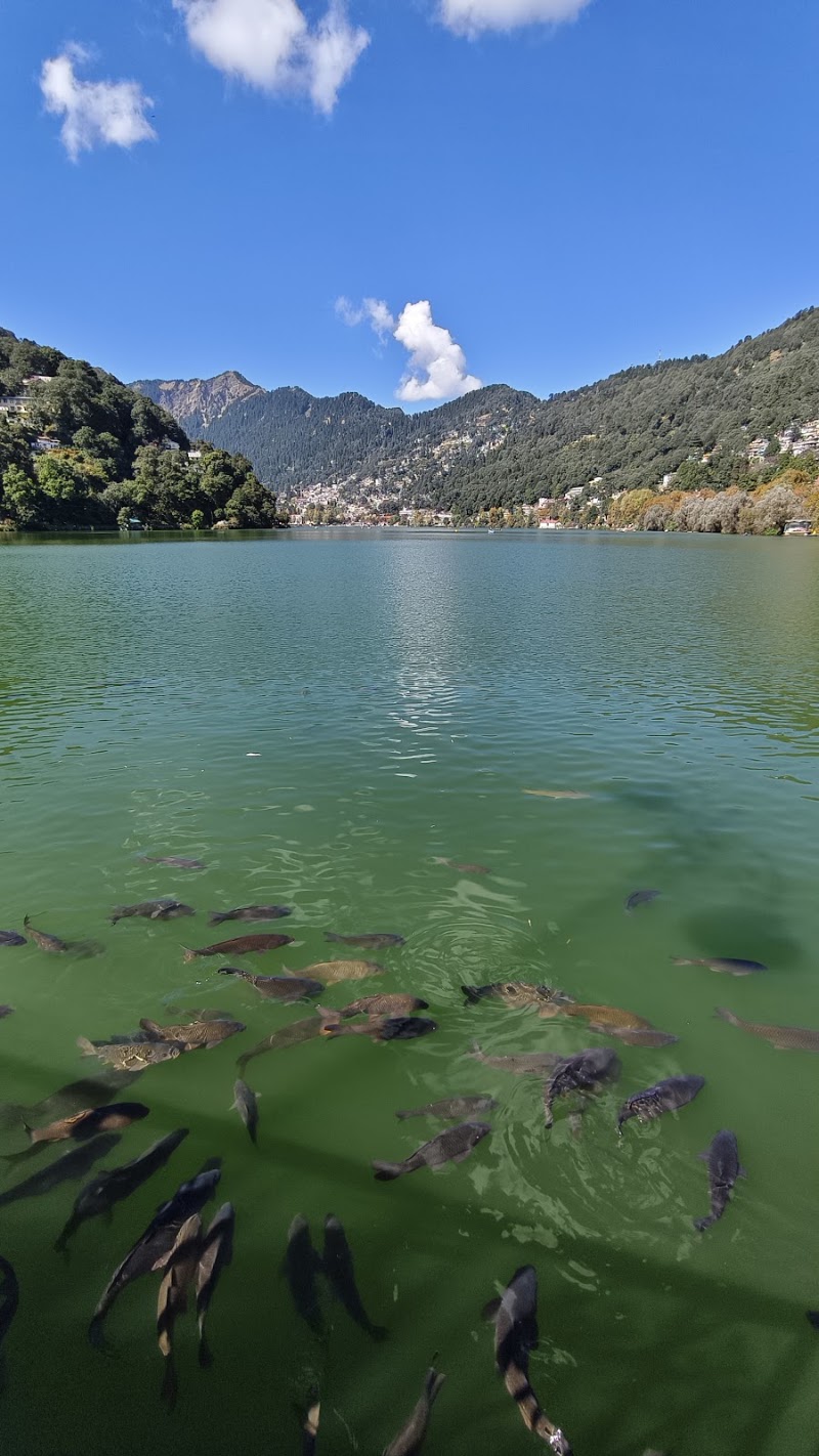 MallItal - MallItal, Tallital, Nainital, Uttarakhand 263001, India