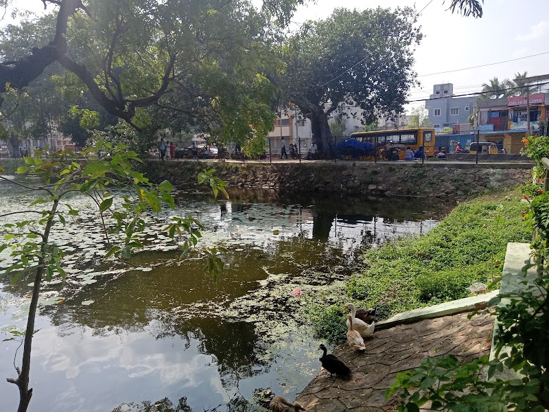 Lotus Pond